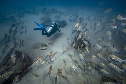 Voyage Mer de Cortez - Mexique - Amerique Centrale