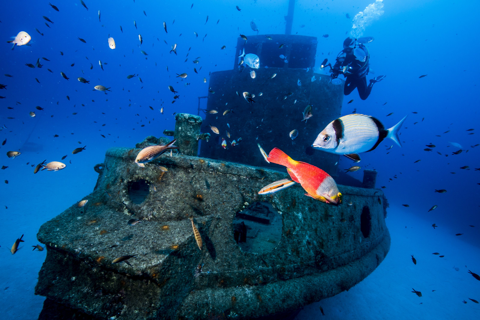 L'epave du Rozi - Malte